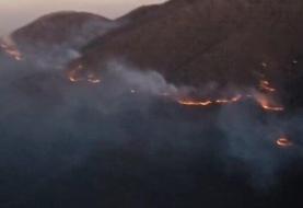 محیط‌زیست آذربایجان شرقی: بیش از ۱۰۰ هکتار از جنگل‌های دیزمار در آتش‌سوزی از بین رفت