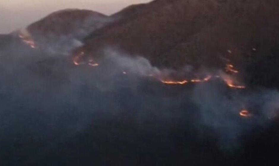 محیط‌زیست آذربایجان شرقی: بیش از ۱۰۰ هکتار از جنگل‌های دیزمار در ...