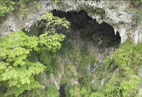 کشف جنگلی باستانی در ته چاله‌ای ۱۹۲ متری با درختانی تا ۴۰ متر ارتفاع