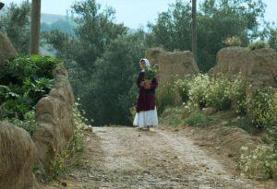 افتتاح جشنواره جهانی فیلم فجر با فیلمی از عباس کیارستمی