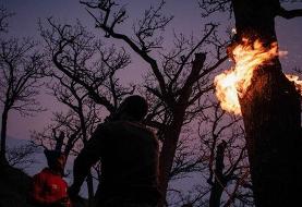 سازمان منابع طبیعی: دخالت انسان در آتش‌سوزی الیت قطعی است