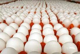 تخم مرغ پرواز کرد