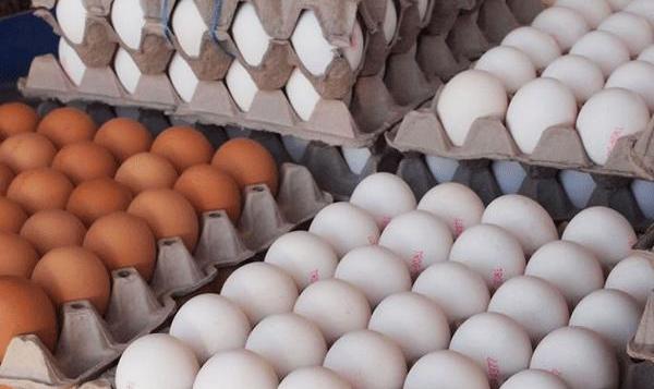 مگر مرغ‌ها تخم طلا می‌کنند!