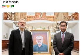 هدیه متفاوت رئیس مجلس ملی پاکستان به علی لاریجانی/ بهترین دوست ها!/عکس