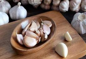 خوردن سیر خام ناشتا برای لاغری واقعا اثر دارد؟