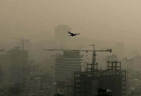 تهران سرانجام صدرنشین جهان شد؛ در آلودگی هوا! | آلودگی هوا تا کی ادامه دارد؟