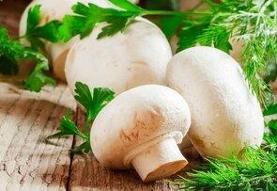 فواید شگفت انگیز قارچ برای قلب