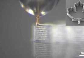 خاصیت شگفت‌انگیز نیش پشه / انقلابی در پرینت سه‌بعدی