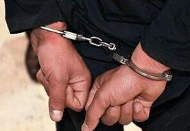 عامل آتش‌سوزی جنگل های هیرکانی دستگیر شد