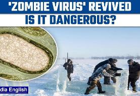 بیداری  یک ویروس ۴۸ هزارساله از یخ‌های سیبری | زمین دوباره  آنها را بیدار کرده؟