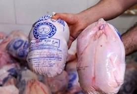 قیمت مرغ امروز ۸ آذر ۱۴۰۴
