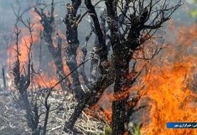 ایرنا به نقل از مقامات شهر بابل: عامل آتش‌سوزی در جنگل‌های هیرکانی شناسایی و دستگیر شد