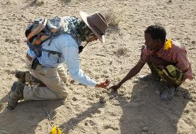 کشف راز ۳.۵ میلیون ساله | اجداد ما از دو گونه انسانی متفاوت بودند