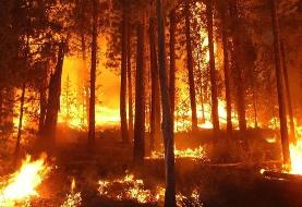 اقامت شبانه در جنگل‌های آمل ممنوع شد