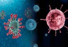 هشدار؛ شروع اپیدمی آنفلوآنزا / مصرف خودسرانه این دارو می‌تواند مرگبار باشد