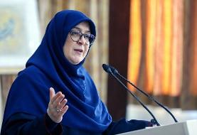 مهاجرانی: هیچ‌گاه به سمت ساخت بمب هسته‌ای نخواهیم رفت