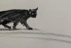 مجموعه‌ای جذاب از گربه‌های سیاه؛ رونمایی از اسکچ جدید با زغال (تصویری)