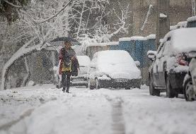 رویای این روزهای ما که از آن خاطره داریم | عکس