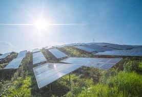 برق میلیون‌ها نفر رایگان می‌شود / هدیه‌ خورشید به مردم استرالیا