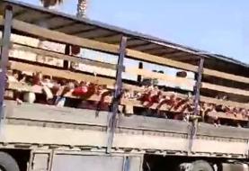 توضیح آموزش و پرورش جهرم درباره انتقال دانش‌آموزان با کامیون/ عکس