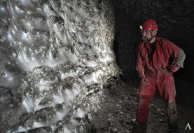 کشف تار عنکبوت بی نظیر در تاریخ(+عکس)