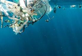 ارتش نامرئی اقیانوس/ کشف موجوداتی که زباله‌های انسان را می‌بلعند