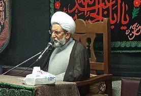 هادی قابل: برخی دنبال دهه محسنیه و دهه رقیه‌اند/ امیرالمؤمنین حتی یکبار برای پیامبر عزاداری ...