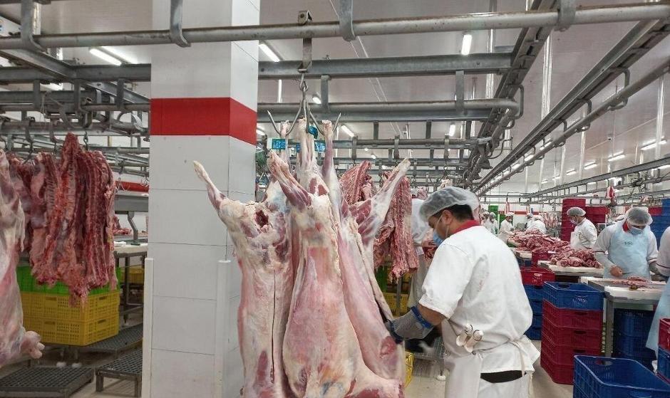 قیمت گوشت امروز ۱۷ آبان ۱۴۰۴