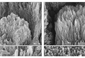 ژل نوآورانه دانشمندان، مینای دندان را مثل روز اول ترمیم می‌کند