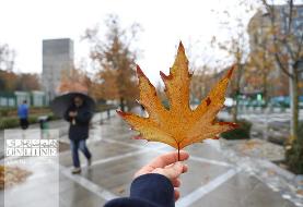 فصل بی بارشی تمام شد | ورود پیاپی سامانه‌های بارندگی به ایران