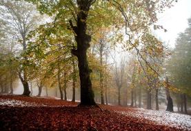 هواشناسی ۱۴۰۴/۰۹/۱۰/ باران در غرب و ارتفاعات و دامنه‌های جنوبی البرز