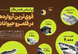 کدام حیوانات آرواره‌های قوی‌تری دارند؟(+اینفوگرافیک)