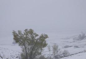 بارش برف و باران در ۲۸ استان/ از سفر غیرضروری بپرهیزید