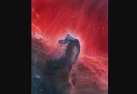 عکس روز ناسا از «سحابی سر اسب»