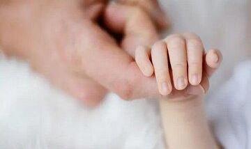 سبقت مرگ از تولد در این استان شمالی کشور