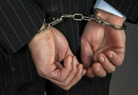 جواد علیکردی بازداشت شد