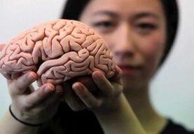 چه کنیم مغزمان جوان‌ بماند؟