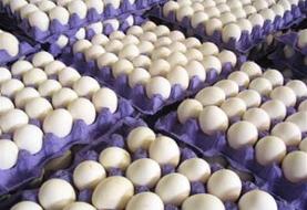 افزایش بی سابقه قیمت تخم مرغ