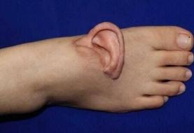 گوش چپ روی پای راست!