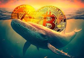 خروج ۳.۴ میلیارد دلاری نهنگ‌ها از بازار