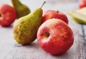 این میوه‌ها برای دیابت خوب هستند