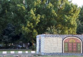 حذف تدریجی گیاه دردسرساز جنوب | پرندگان هم از این درخت فراری هستند | شهردار بندرعباس: درختان ...