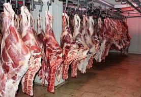 شهرداری تهران: به زودی گوشت گرم گوساله وارداتی در میادین و بازارهای تره‌بار عرضه می‌شود