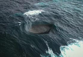 موجی که نباید وجود داشته باشد / نمایی شگفت‌انگیز از موج انفجاری در اقیانوس