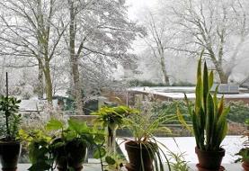 آماده‌باش زمستانی به تهرانی‌ها | چهره تهران عوض می‌شود