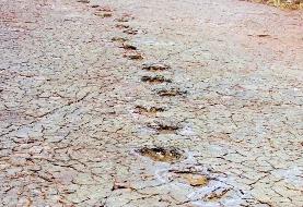 ببینید؛ مشاهده ردپاهای دایناسور اطراف اقیانوس اطلس! | عکس