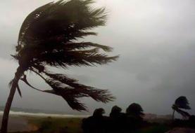 هواشناسی ۱۴۰۴/۰۹/۱۱/ بارش باران در ۱۹ استان