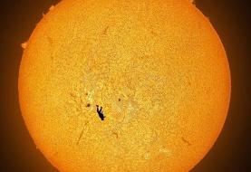 قاب‌هایی شگفت‌انگیز از دنیای نادیدنی‌ها