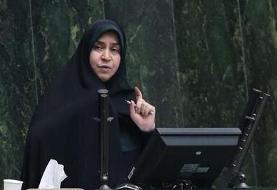 فرهنگ ۲.۵ درصد از بودجه را در اختیار دارد