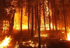 بررسی منشا آتش‌سوزی‌ جنگل هیرکانی در دست دستگاه‌های امنیتی